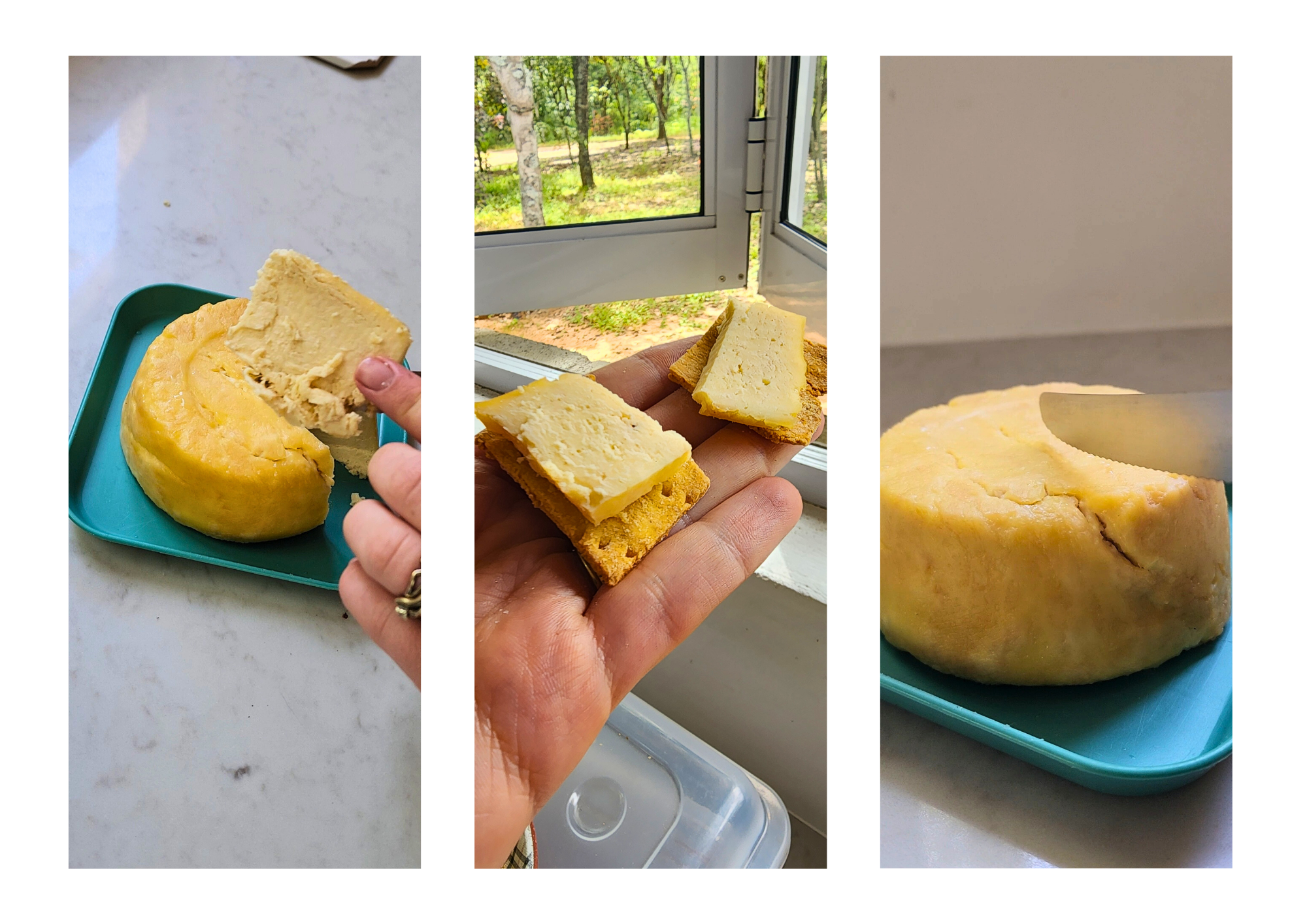 Three images show a block of homemade, grain-free cheese being sliced and served. The cheese is pale yellow and dense, resting on a turquoise tray. One photo captures a hand slicing into the cheese; another shows slices served on golden grain-free crackers in an open hand near a sunlit window. The final image features a close-up of the cheese being cut with a knife, revealing its smooth texture.